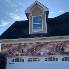 Roof cleaning